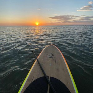 无套内射波多野结衣
