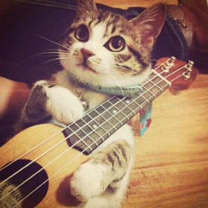 无套内射波多野结衣
